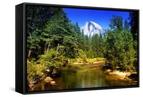 Half Dome - Yosemite National Park - Californie - United States-Philippe Hugonnard-Framed Stretched Canvas