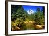 Half Dome - Yosemite National Park - Californie - United States-Philippe Hugonnard-Framed Photographic Print