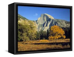 Half Dome, Yosemite Np, California, USA-Gavin Hellier-Framed Stretched Canvas