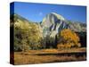 Half Dome, Yosemite Np, California, USA-Gavin Hellier-Stretched Canvas