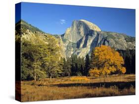 Half Dome, Yosemite Np, California, USA-Gavin Hellier-Stretched Canvas