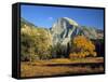 Half Dome, Yosemite Np, California, USA-Gavin Hellier-Framed Stretched Canvas