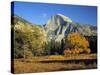 Half Dome, Yosemite Np, California, USA-Gavin Hellier-Stretched Canvas