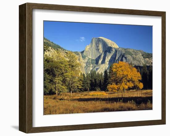 Half Dome, Yosemite Np, California, USA-Gavin Hellier-Framed Photographic Print