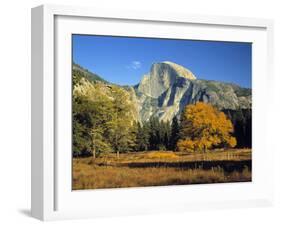 Half Dome, Yosemite Np, California, USA-Gavin Hellier-Framed Photographic Print