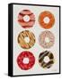 Half Dozen Donuts-Cat Coquillette-Framed Stretched Canvas