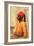 Half Length Portrait of an Arab Boy-Frederick Goodall-Framed Giclee Print