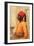 Half Length Portrait of an Arab Boy-Frederick Goodall-Framed Giclee Print