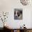 Half / Mixed Breed Puppy-Adriano Bacchella-Photographic Print displayed on a wall