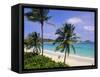 Half Moon Bay, Antigua, Caribbean, West Indies-John Miller-Framed Stretched Canvas