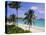 Half Moon Bay, Antigua, Caribbean, West Indies-John Miller-Stretched Canvas