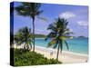 Half Moon Bay, Antigua, Caribbean, West Indies-John Miller-Stretched Canvas