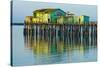 Half Moon Bay Pier-Lee Peterson-Stretched Canvas