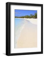 Half Moon Cay, Little San Salvador Island, Bahamas, West Indies, Central America-Richard Cummins-Framed Photographic Print