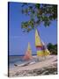 Half Moon Club Beach, Montego Bay, Jamaica, Caribbean, West Indies-Robert Harding-Stretched Canvas