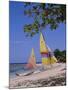 Half Moon Club Beach, Montego Bay, Jamaica, Caribbean, West Indies-Robert Harding-Mounted Photographic Print