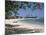 Half Moon Club, Montego Bay, Jamaica, West Indies, Caribbean, Central America-Robert Harding-Mounted Photographic Print