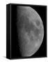 Half-Moon-Stocktrek Images-Framed Stretched Canvas
