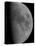 Half-Moon-Stocktrek Images-Stretched Canvas