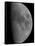 Half-Moon-Stocktrek Images-Framed Stretched Canvas