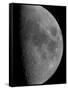 Half-Moon-Stocktrek Images-Framed Stretched Canvas