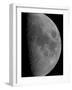 Half-Moon-Stocktrek Images-Framed Premium Photographic Print