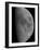 Half-Moon-Stocktrek Images-Framed Photographic Print