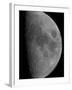 Half-Moon-Stocktrek Images-Framed Photographic Print