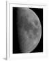 Half-Moon-Stocktrek Images-Framed Photographic Print