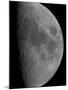 Half-Moon-Stocktrek Images-Mounted Photographic Print