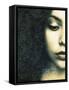 Half Portrait of a Womans Face with Floral Ornaments-Alaya Gadeh-Framed Stretched Canvas