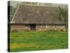 Half Timbered Farm Building Near Pont Audemer, Marais Vernier, Haute Normandie, France-Michael Busselle-Stretched Canvas