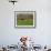 Half Timbered Farm Building Near Pont Audemer, Marais Vernier, Haute Normandie, France-Michael Busselle-Framed Photographic Print displayed on a wall