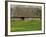 Half Timbered Farm Building Near Pont Audemer, Marais Vernier, Haute Normandie, France-Michael Busselle-Framed Photographic Print