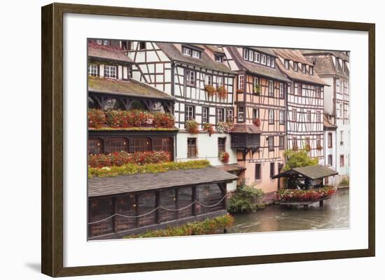 Half-Timbered Houses in La Petite France-Julian Elliott-Framed Photographic Print