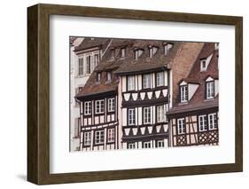 Half-Timbered Houses in La Petite France-Julian Elliott-Framed Photographic Print