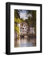 Half Timbered Houses in La Petite France-Julian Elliott-Framed Photographic Print