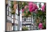 Half-Timbered in Castle Ronne, Vogelsberg, Hessen, Germany-Ernst Wrba-Mounted Photographic Print