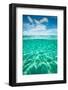 Half Water Half Land, Clouds over the Pacific Ocean, Bora Bora, French Polynesia-null-Framed Photographic Print