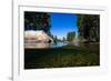 Half Water Half Land, Reflection of Trees in a River, Walker River-null-Framed Photographic Print