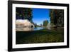 Half Water Half Land, Reflection of Trees in a River, Walker River-null-Framed Photographic Print