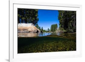 Half Water Half Land, Reflection of Trees in a River, Walker River-null-Framed Photographic Print