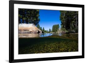 Half Water Half Land, Reflection of Trees in a River, Walker River-null-Framed Photographic Print