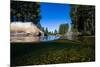 Half Water Half Land, Reflection of Trees in a River, Walker River-null-Mounted Photographic Print