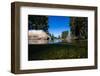 Half Water Half Land, Reflection of Trees in a River, Walker River-null-Framed Photographic Print