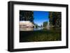 Half Water Half Land, Reflection of Trees in a River, Walker River-null-Framed Photographic Print