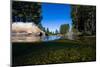 Half Water Half Land, Reflection of Trees in a River, Walker River-null-Mounted Photographic Print