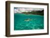 Half Water Half Land, Shark in the Pacific Ocean, Moorea, Tahiti, French Polynesia-null-Framed Photographic Print