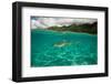 Half Water Half Land, Shark in the Pacific Ocean, Moorea, Tahiti, French Polynesia-null-Framed Photographic Print