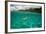 Half Water Half Land, Shark in the Pacific Ocean, Moorea, Tahiti, French Polynesia-null-Framed Photographic Print